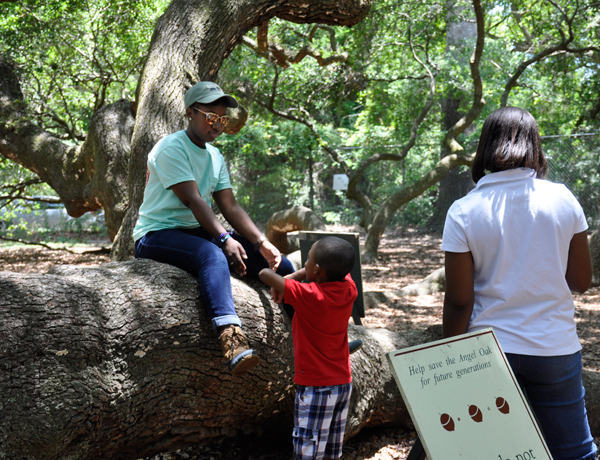 person sitting on the Angel Oak tree